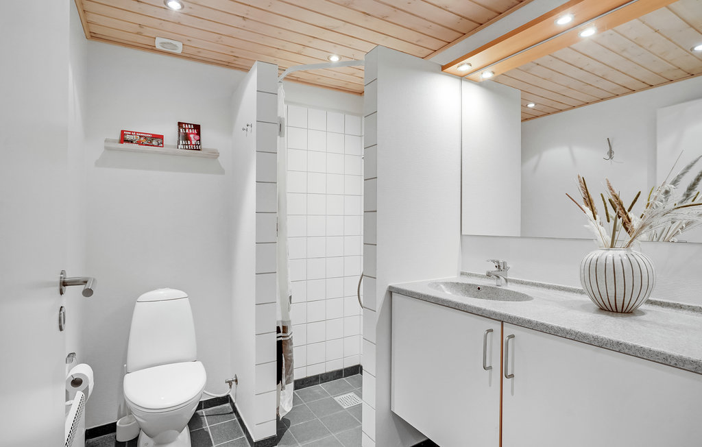 Ferienhaus - Lønne , Dänemark - P42497 25