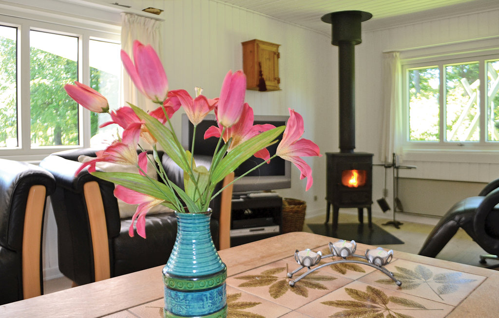 Ferienhaus - Jegum Ferieland , Dänemark - P42583 2