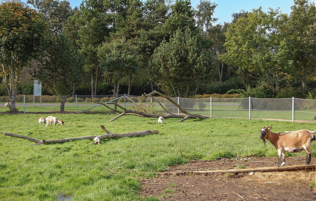 Ferienhaus - Jegum Ferieland , Dänemark - P42684 27