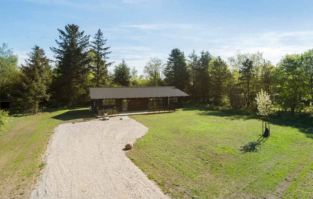 Ferienhaus - Jegum , Dänemark - P42748 1