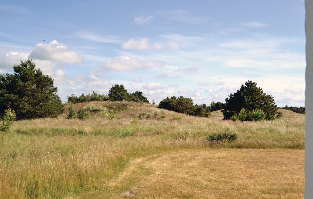 Feriehus - Nymindegab , Danmark - P52664 5