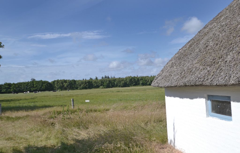 Feriehus - Nymindegab , Danmark - P52664 6