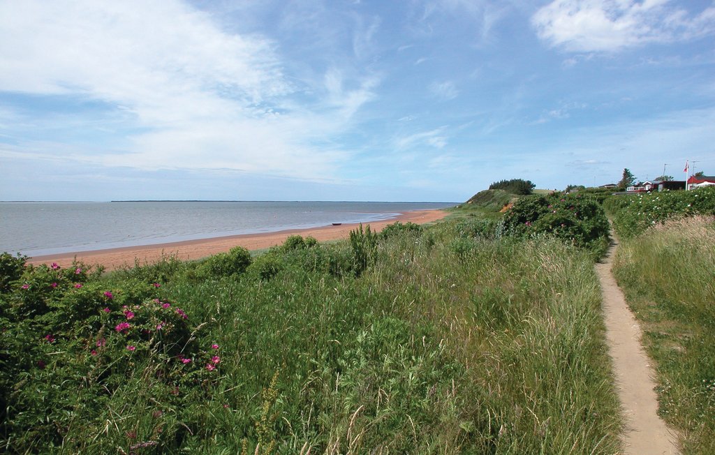 Feriehuse - Bork Havn , Danmark - P52084 18