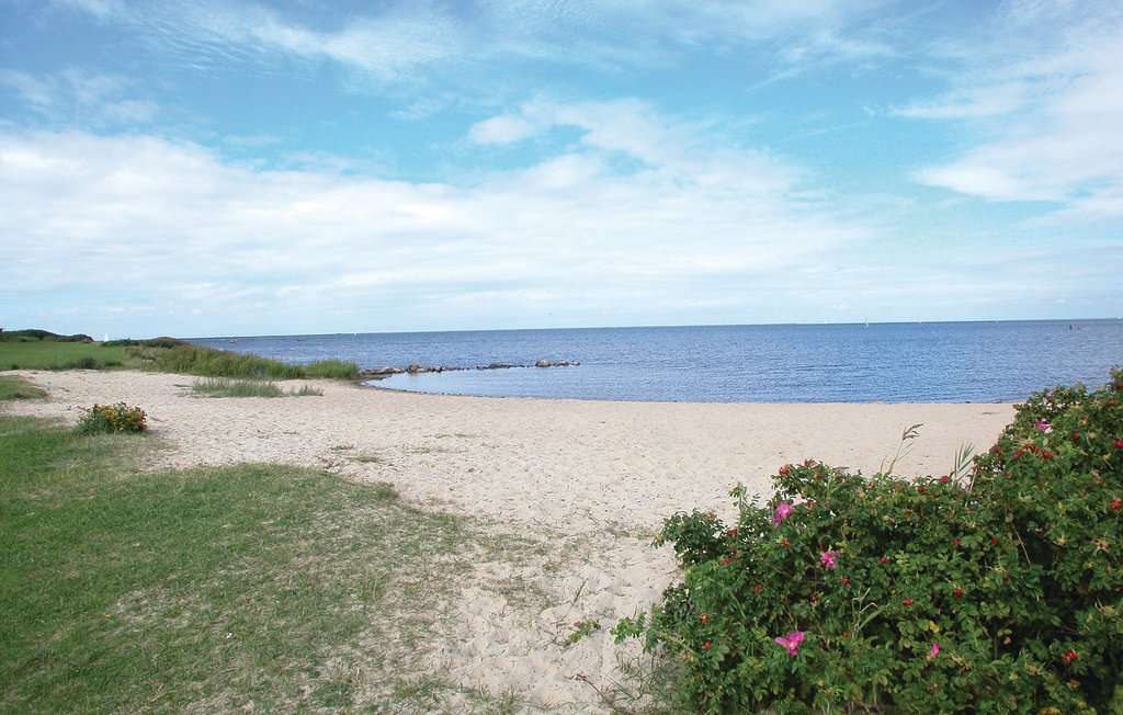 Feriehuse - Bork Havn , Danmark - P52088 15