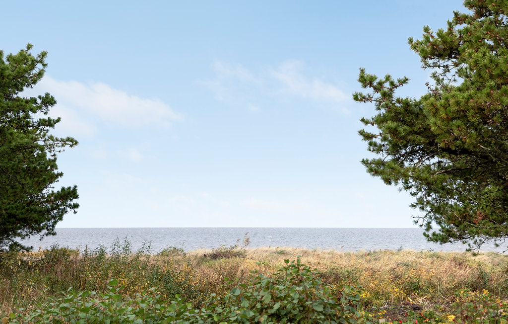 Feriehuse - Skaven Strand , Danmark - P52098 26