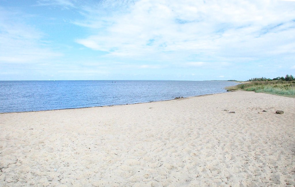 Ferienhaus - Bork Havn , Dänemark - P52087 24