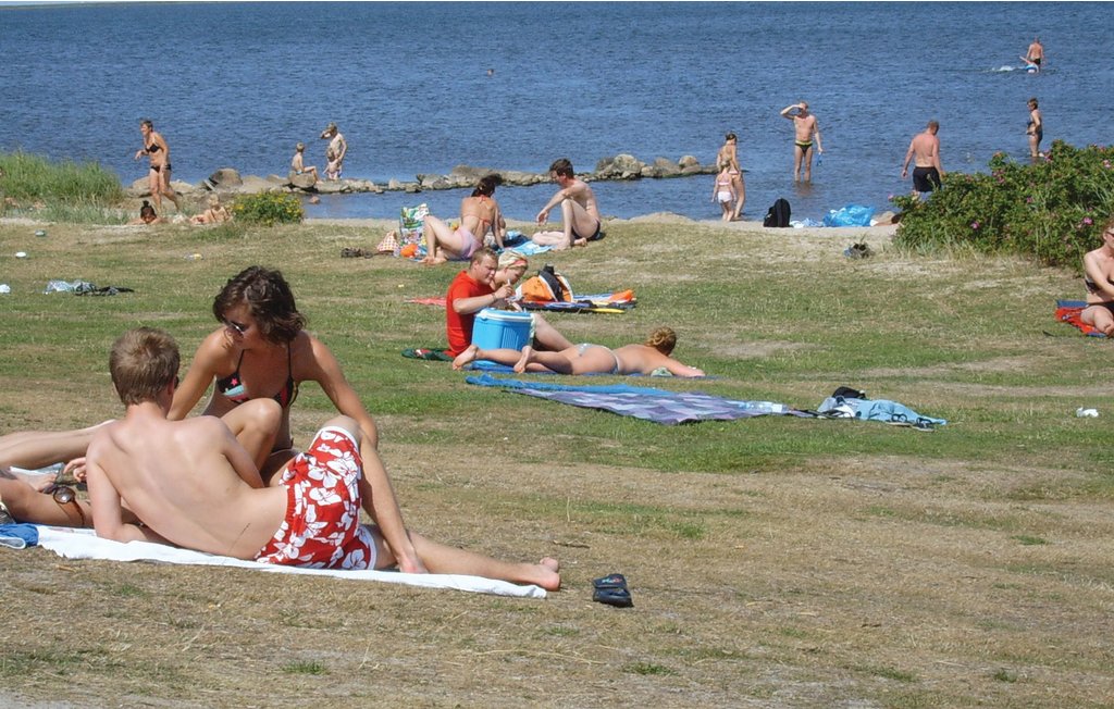 Feriehuse - Bork Havn , Danmark - P52084 19