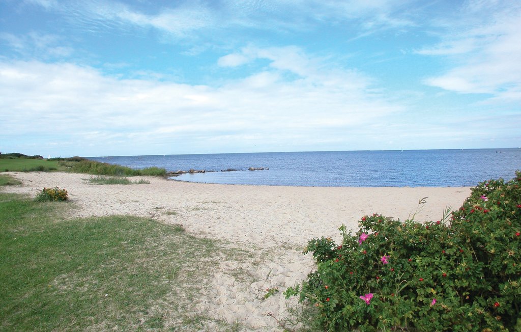 Feriehuse - Bork Havn , Danmark - P52084 20