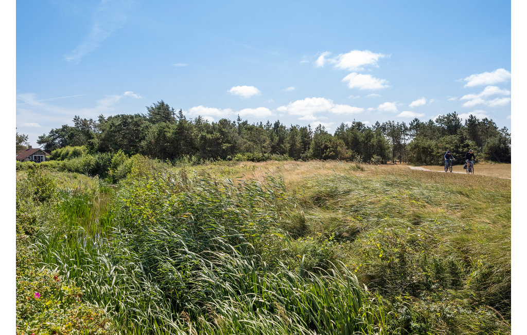 Ferienhaus - Skaven Strand , Dänemark - P52712 25