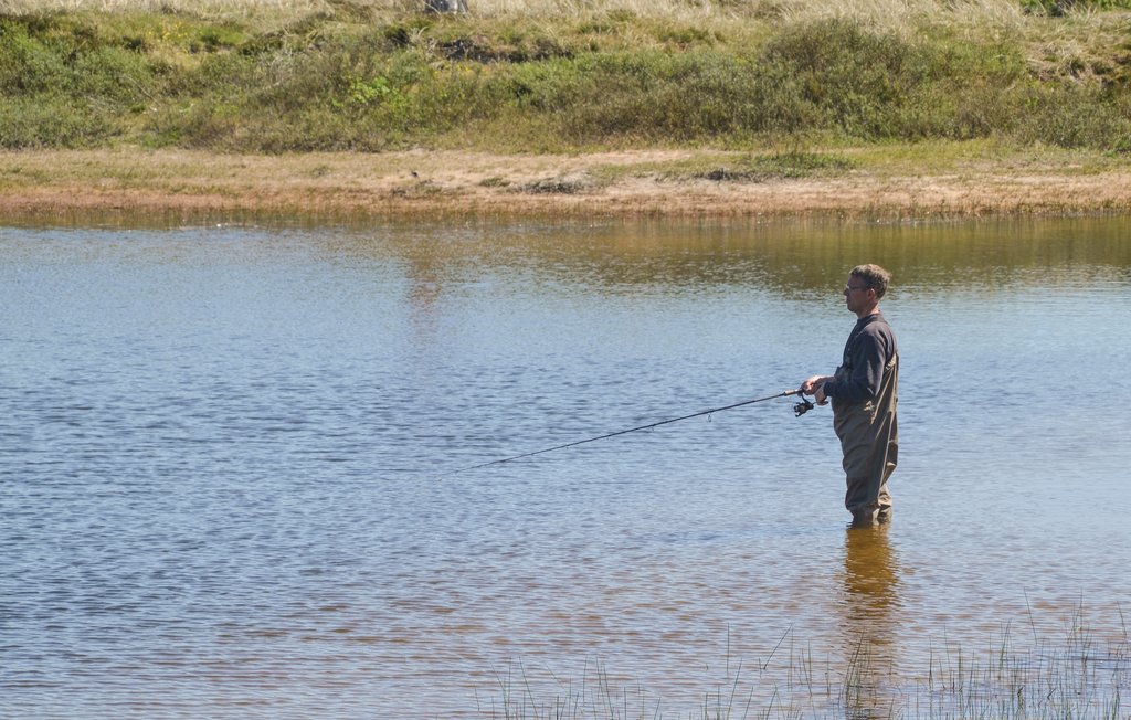 Ferienhaus - Skaven Strand , Dänemark - P52205 3