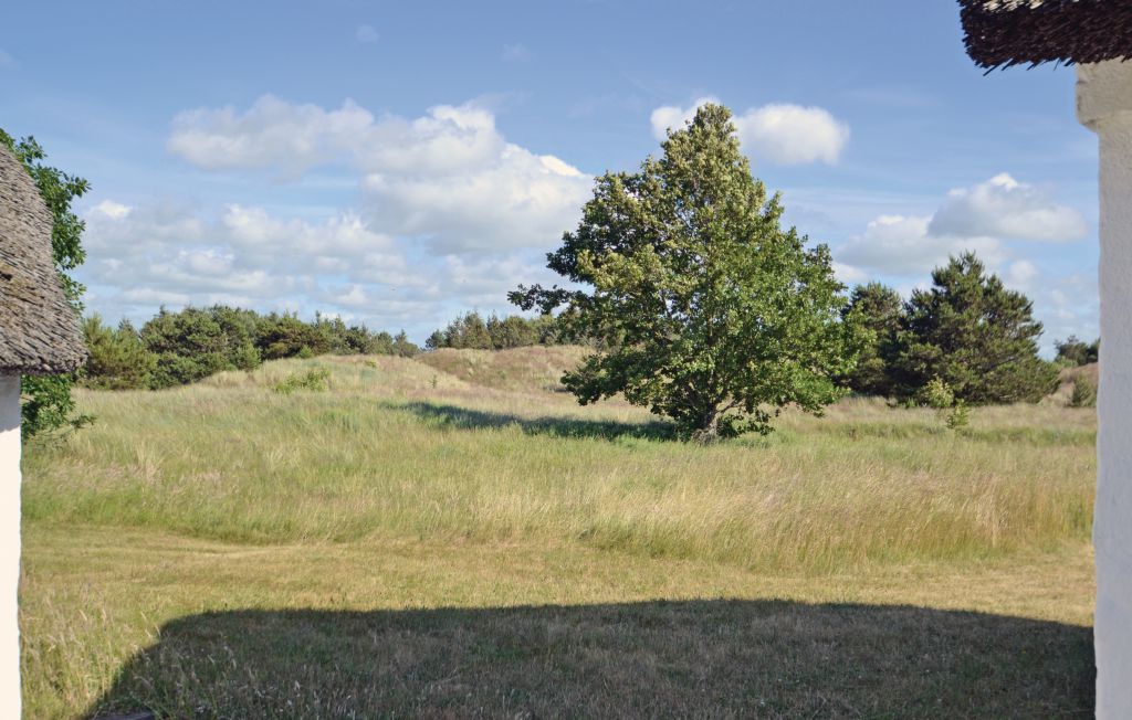 Feriehus - Nymindegab , Danmark - P52664 4