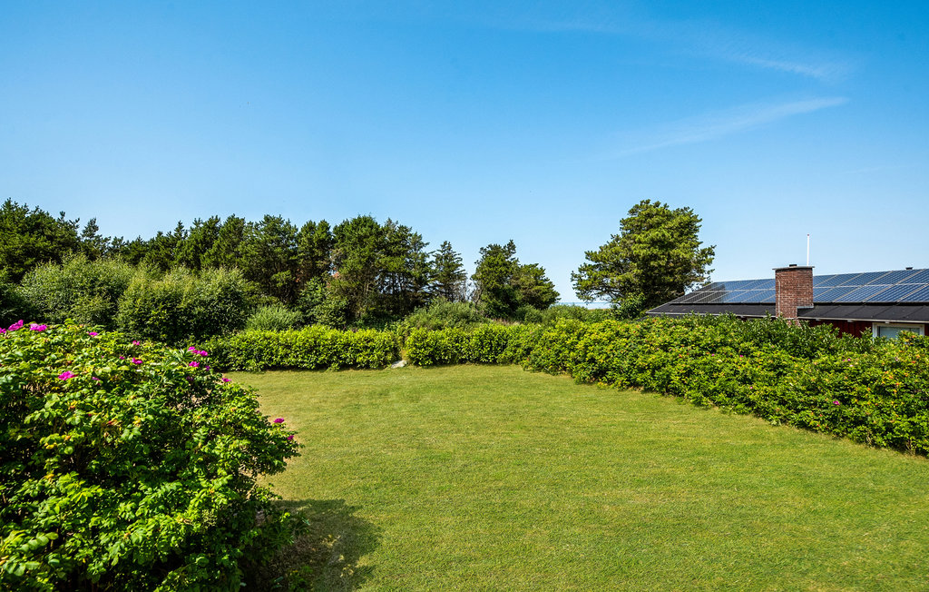 Feriehuse - Skaven Strand , Danmark - P52098 14