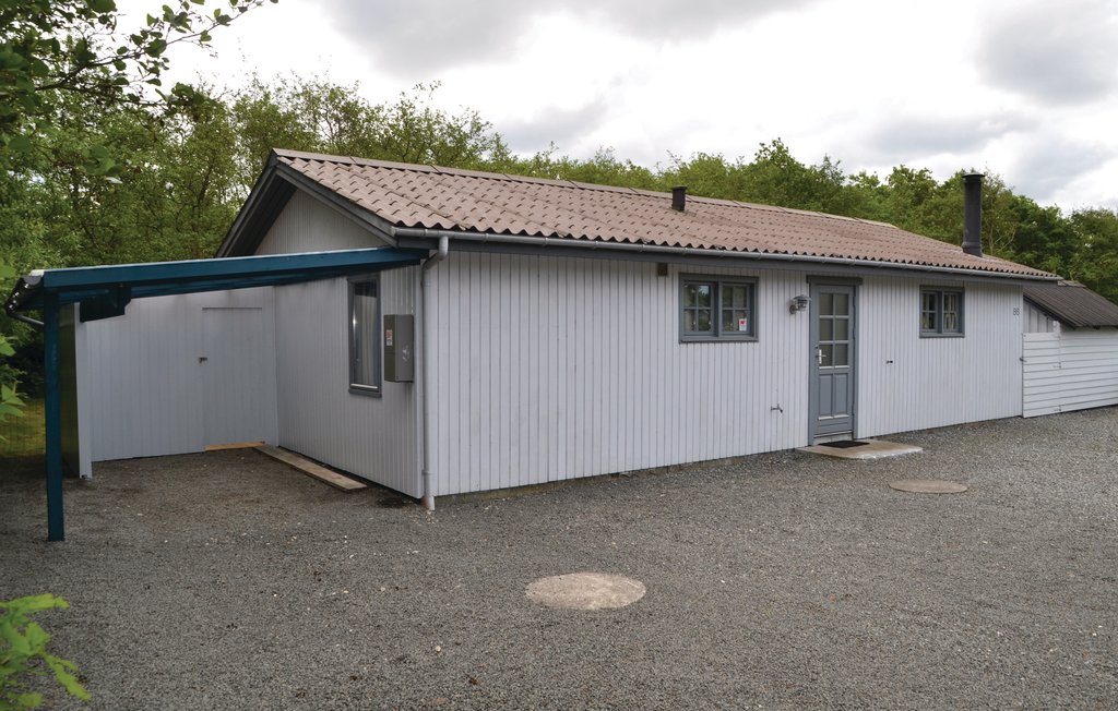 Feriehuse - Bork Havn , Danmark - P52088 3