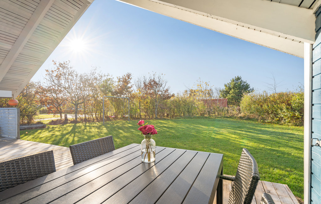 Feriehuse - Bork Havn , Danmark - P52340 7