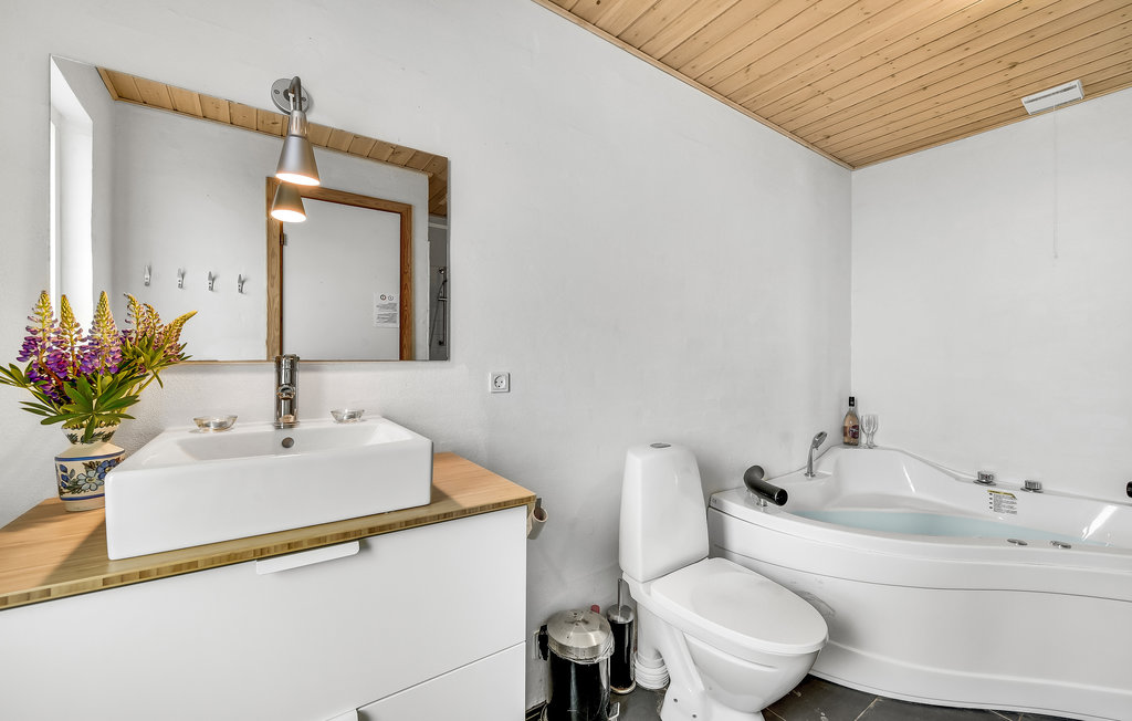 Ferienhaus - Stauning , Dänemark - P52924 25