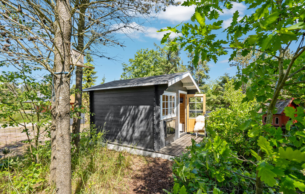 Feriehuse - Hemmet Strand , Danmark - P52706 12