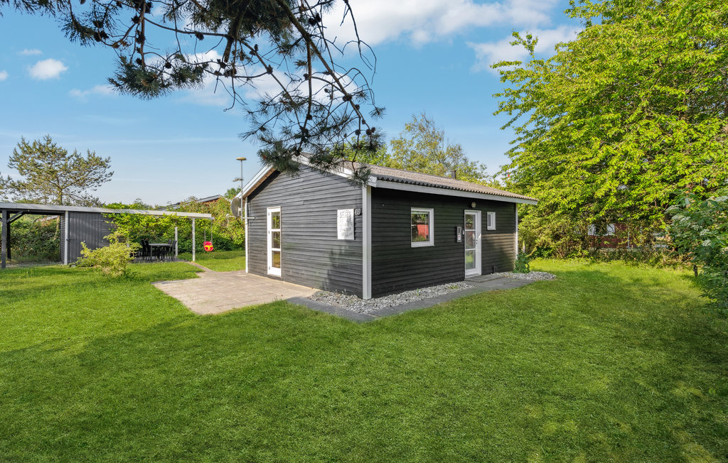 Ferienhaus - Hemmet , Dänemark - P52446 1