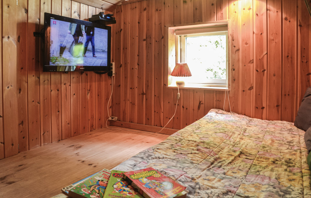 Ferienhaus - Hemmet , Dänemark - P52005 13