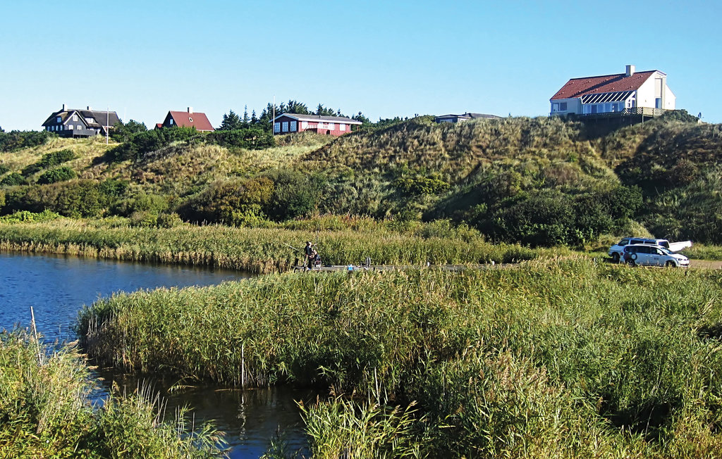 Semesterhus - Nymindegab , Danmark - P52604 2