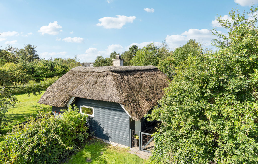 Ferienhaus - Hemmet , Dänemark - P52458 11
