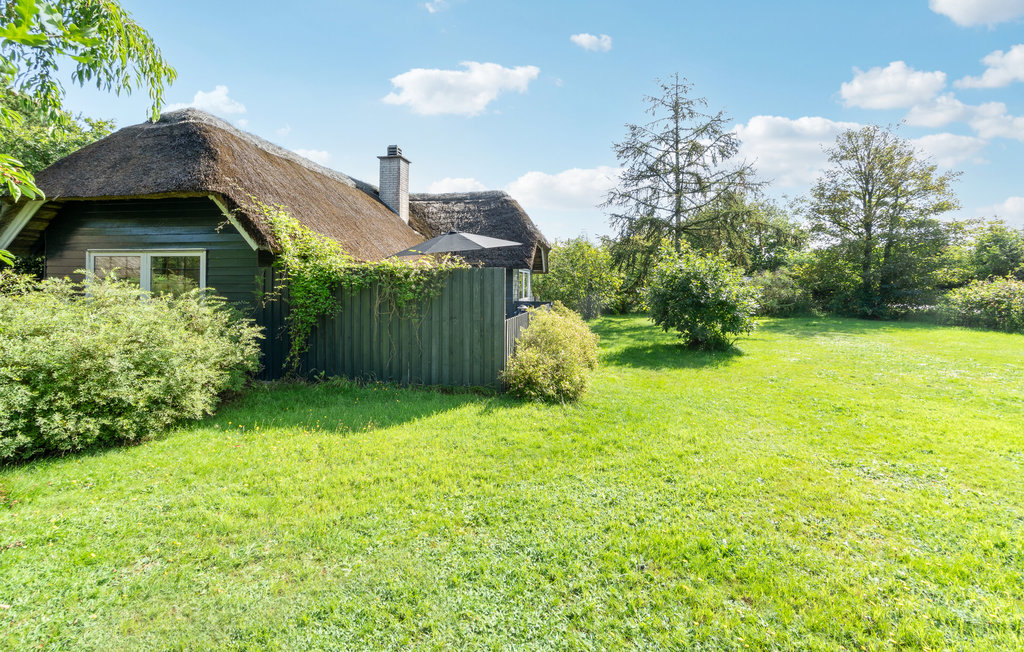 Ferienhaus - Hemmet , Dänemark - P52458 12