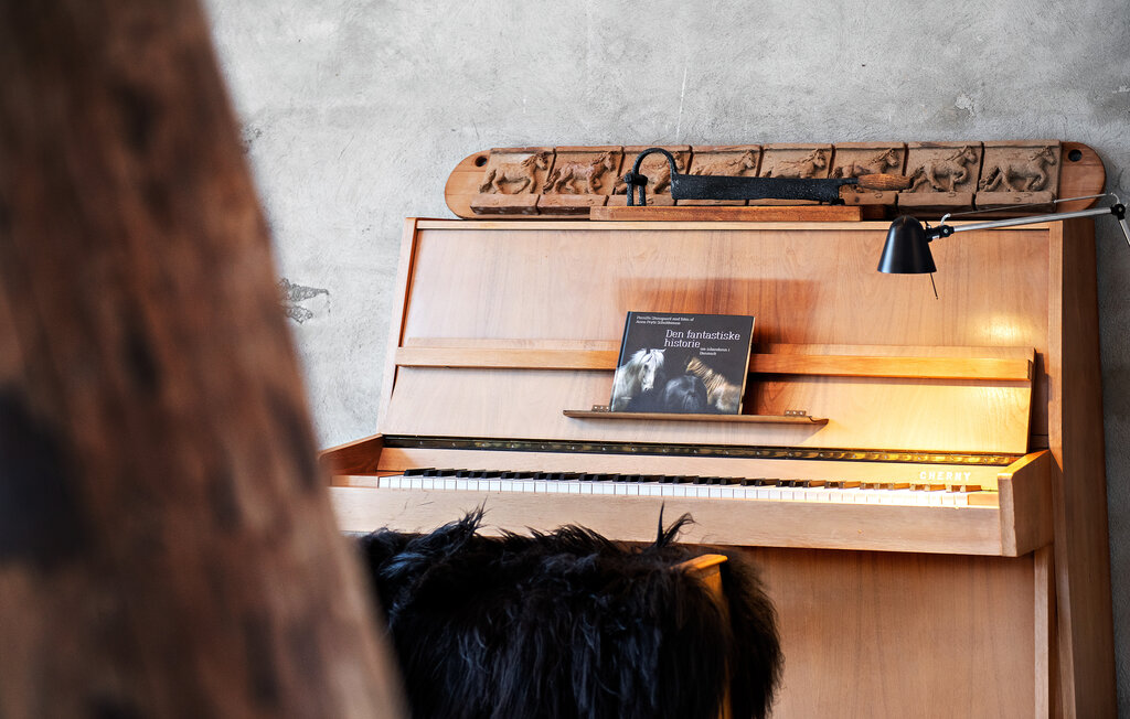 Feriehuse - Nymindegab , Danmark - P52681 14