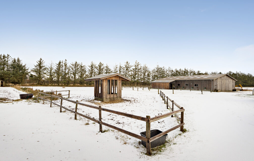 Feriehuse - Nymindegab , Danmark - P52681 2