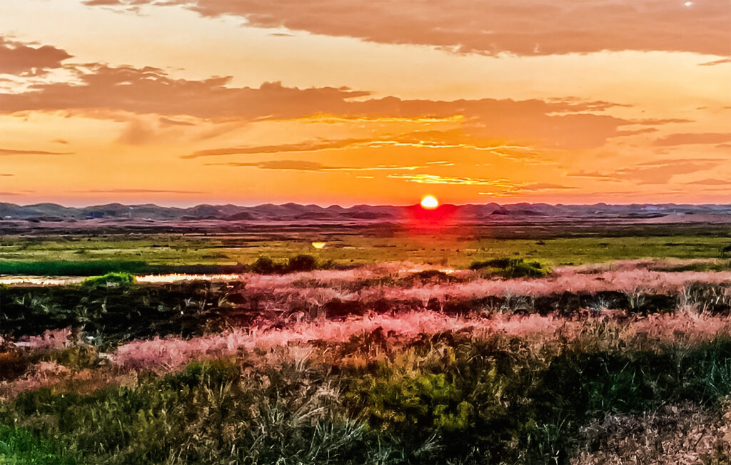 Ferienhaus - Nymindegab , Dänemark - P52665 25