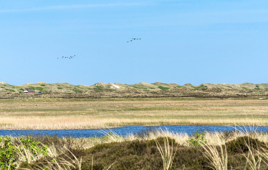 Ferienhaus - Nymindegab , Dänemark - P52665 28