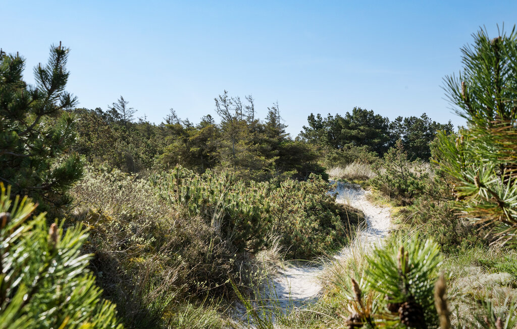 Ferienhaus - Nymindegab , Dänemark - P52665 29