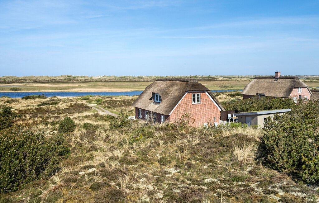 Ferienhaus - Nymindegab , Dänemark - P52665 1