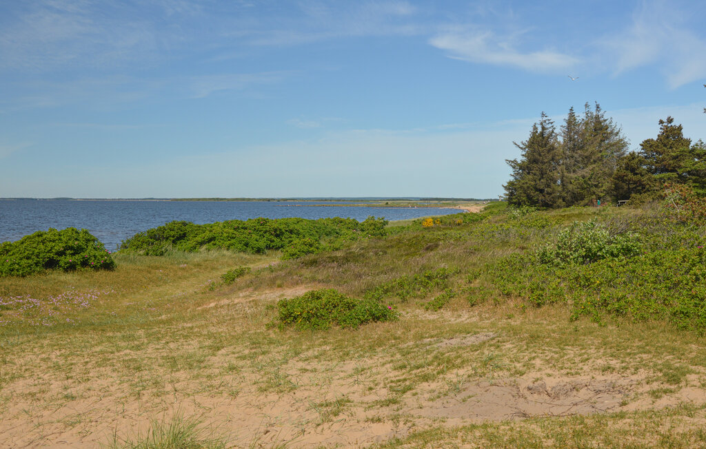 Semesterhus - Skaven Strand , Danmark - P52466 28