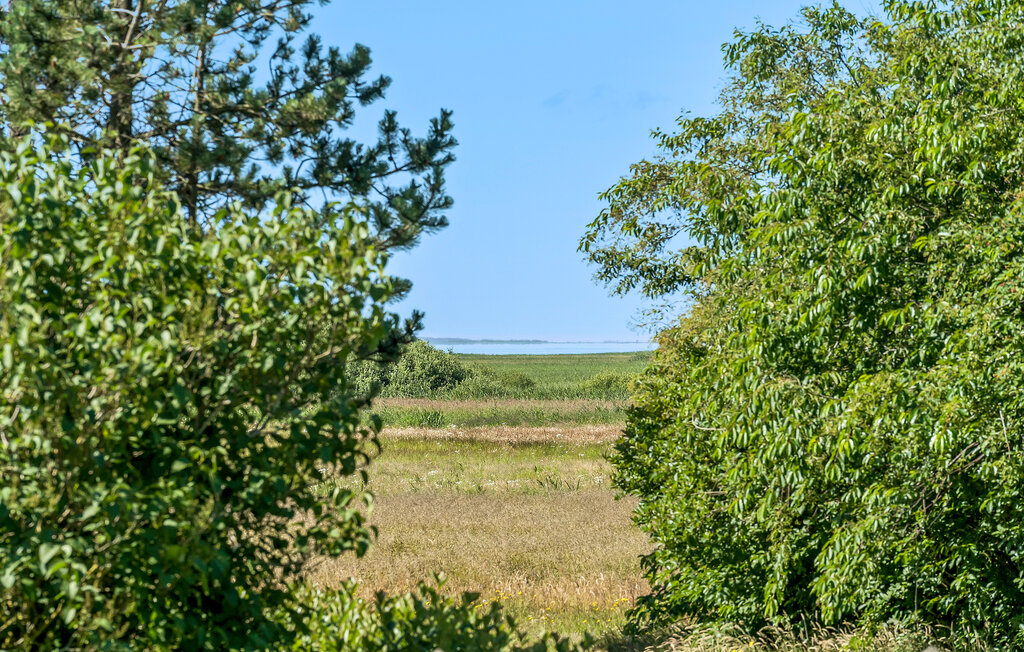 Feriehuse - Stauning , Danmark - P52965 16