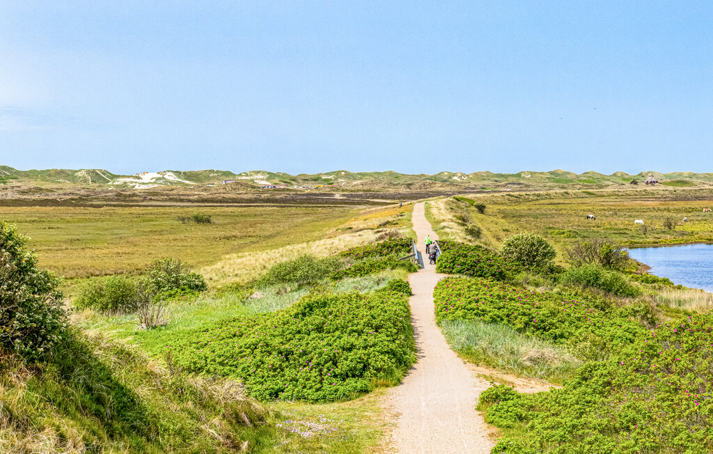 Ferienhaus - Nymindegab , Dänemark - P52609 20