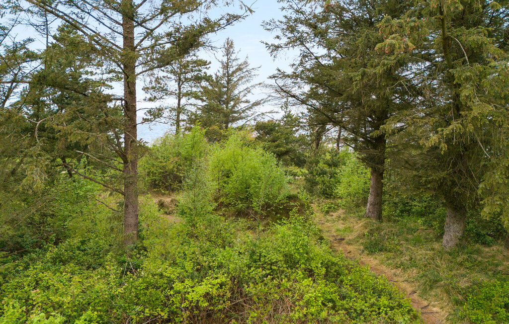Ferienhaus - Skaven Strand , Dänemark - P52046 11