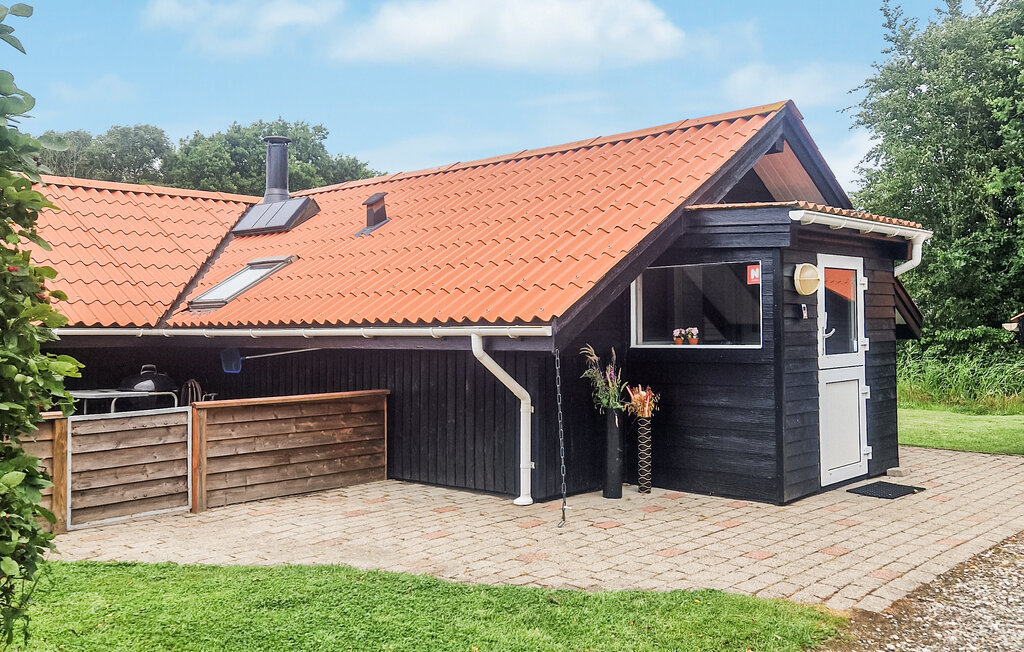 Feriehuse - Bork Havn , Danmark - P52020 14