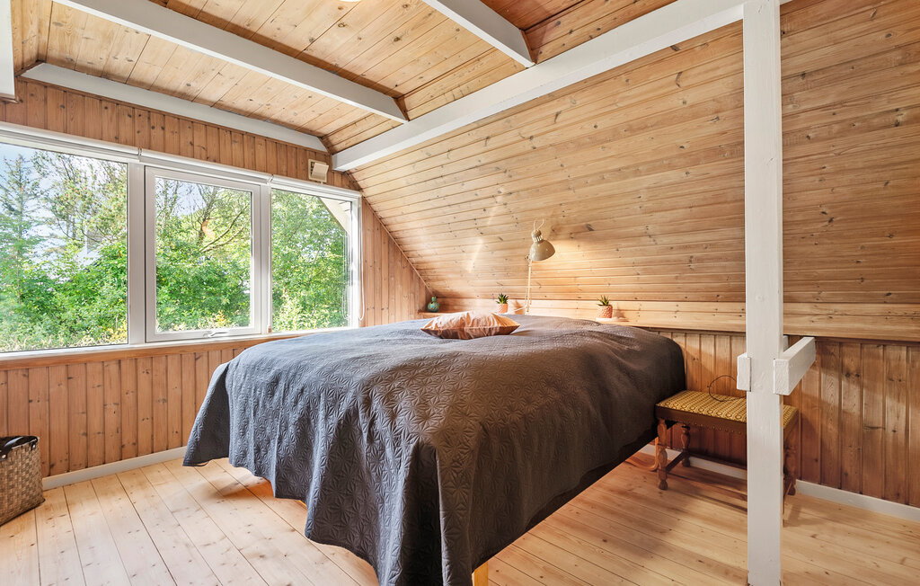 Ferienhaeuser - Hemmet Strand , Dänemark - P52743 8