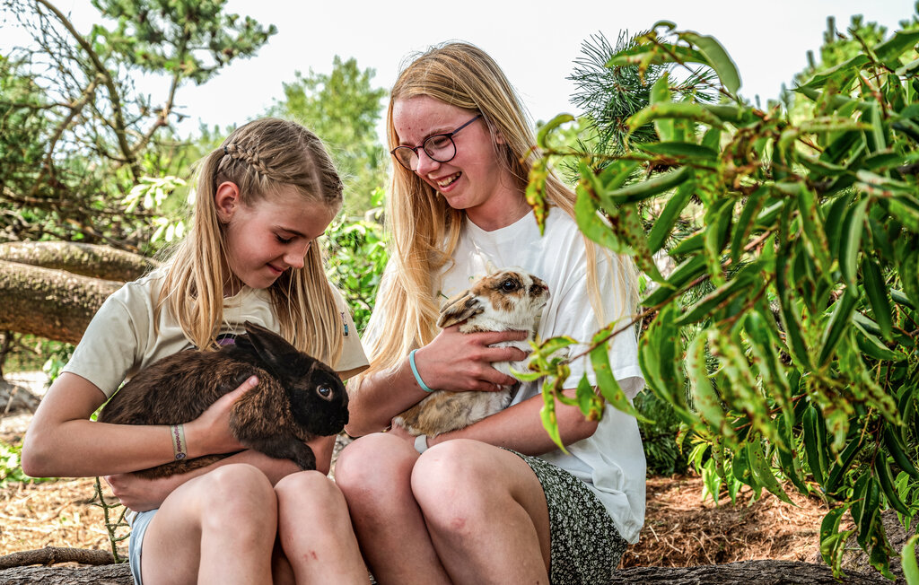 Ferienhaus - Nymindegab , Dänemark - P52606 26