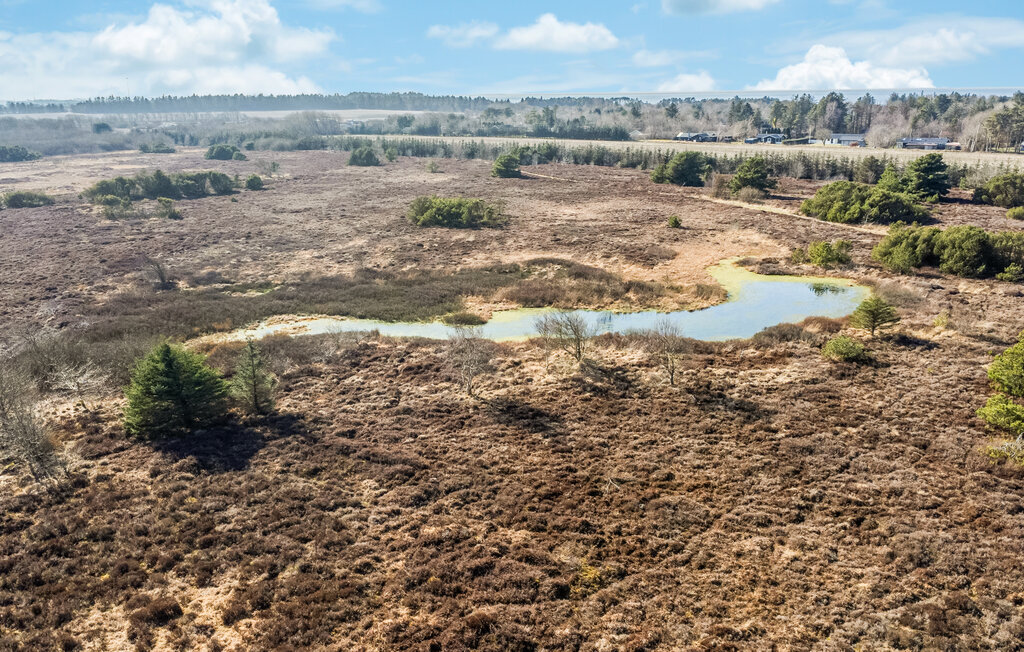 Feriehus - Skaven Strand , Danmark - P52117 27