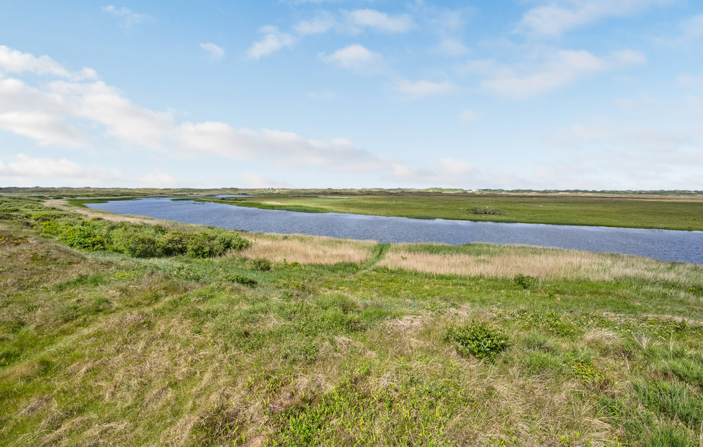 Feriehus - Nymindegab , Danmark - P52405 901