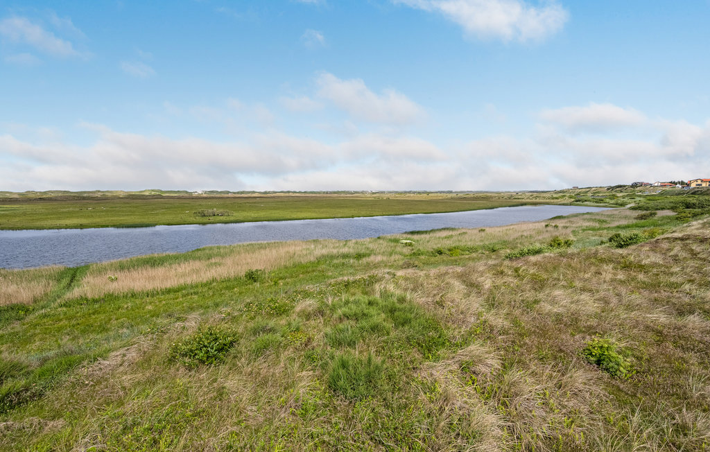 Feriehus - Nymindegab , Danmark - P52405 902