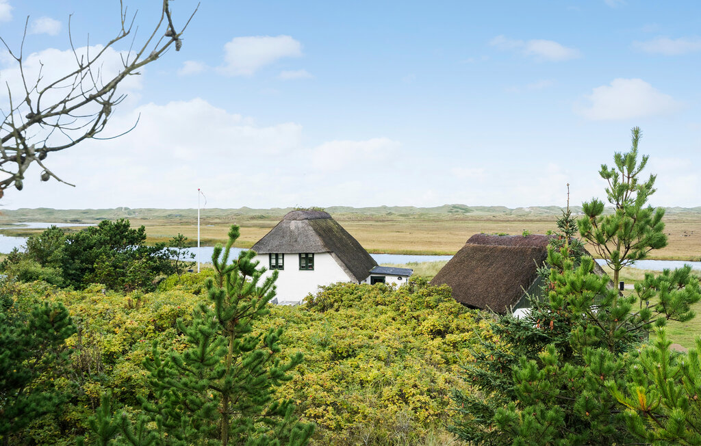 Feriehus - Nymindegab , Danmark - P52405 9