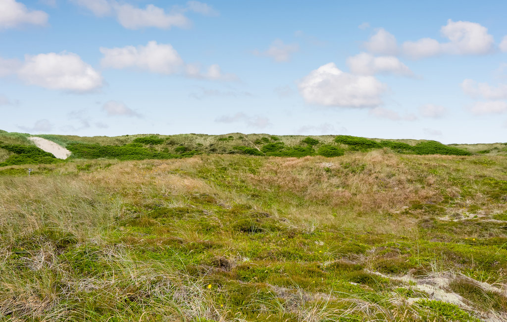 Feriehus - Bjerregård , Danmark - P62057 14