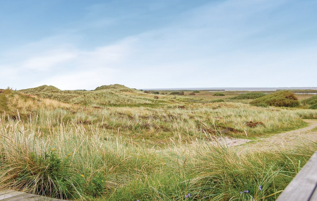 Ferienhaus - Skodbjerge , Dänemark - P62729 18