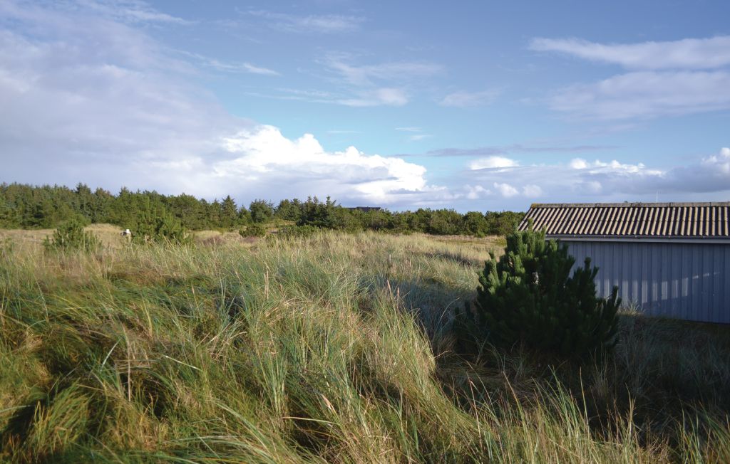 Ferienhaus - Bjerregård , Dänemark - P62632 12