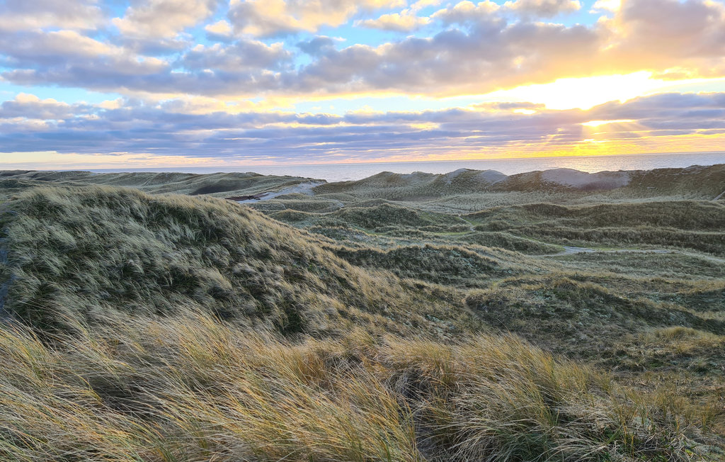 Semesterhus - Hvide Sande , Danmark - P62016 26