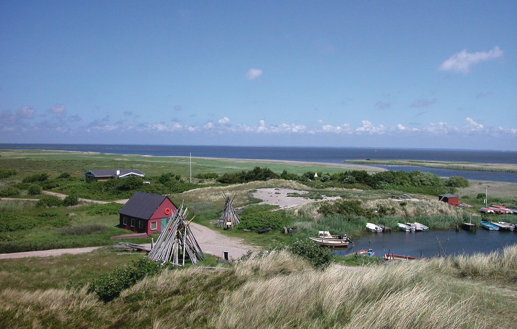 Feriehuse - Bjerregård , Danmark - P62682 27