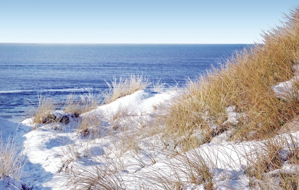 Ferienhaus - Årgab , Dänemark - P62853 26