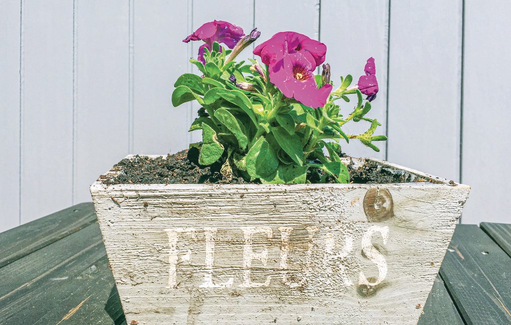 Ferienhaus - Skodbjerge , Dänemark - P62729 28