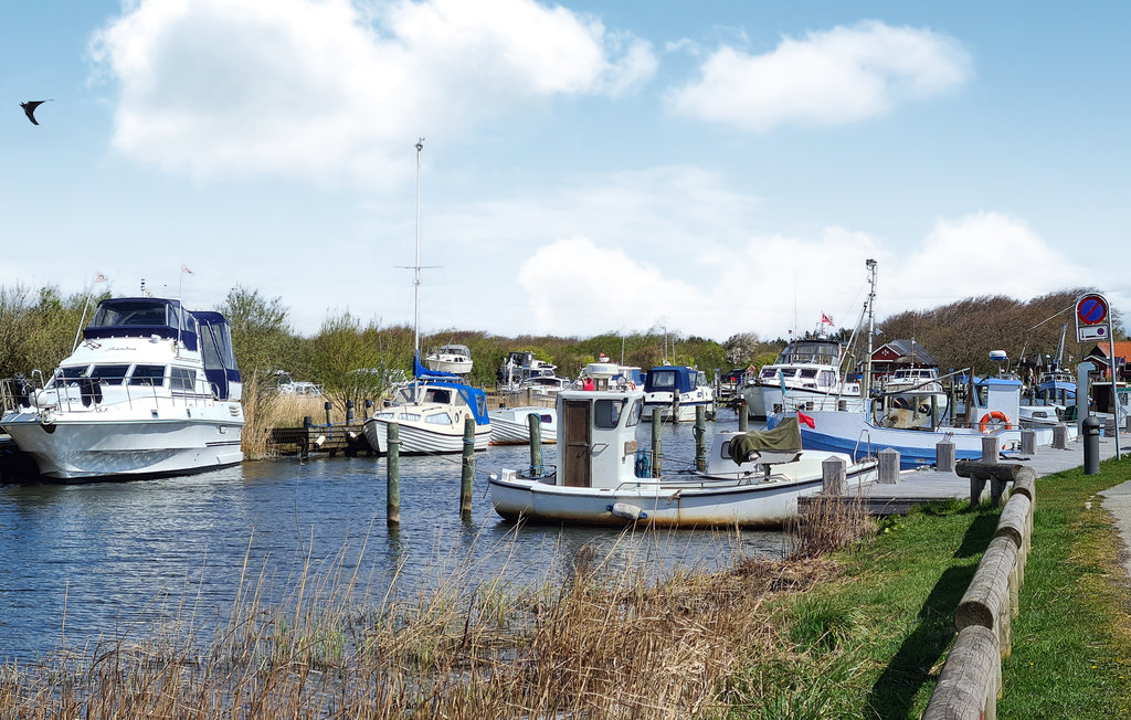 Semesterhus - Hvide Sande , Danmark - P62016 29